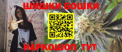 МДПВ Бийск
