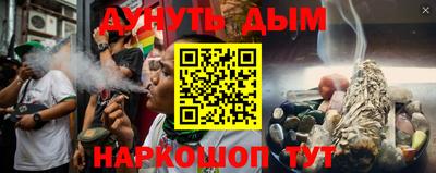 гидра Долгопрудный