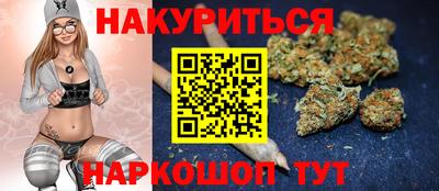 МДПВ Бийск