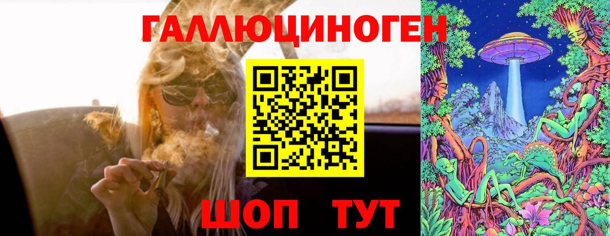 Галлюциногенные грибы мухоморы  Вход с VPN  Звенигород 