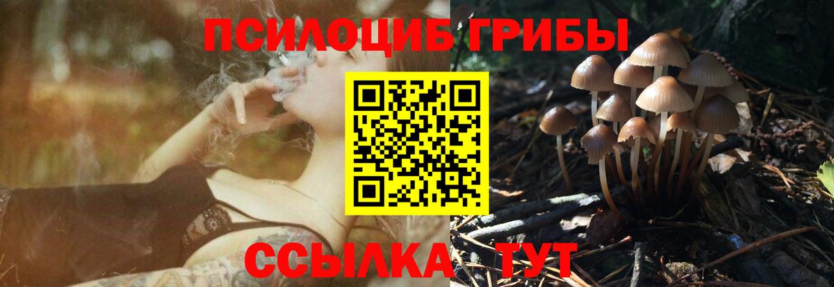 Псилоцибиновые грибы мухоморы Звенигород